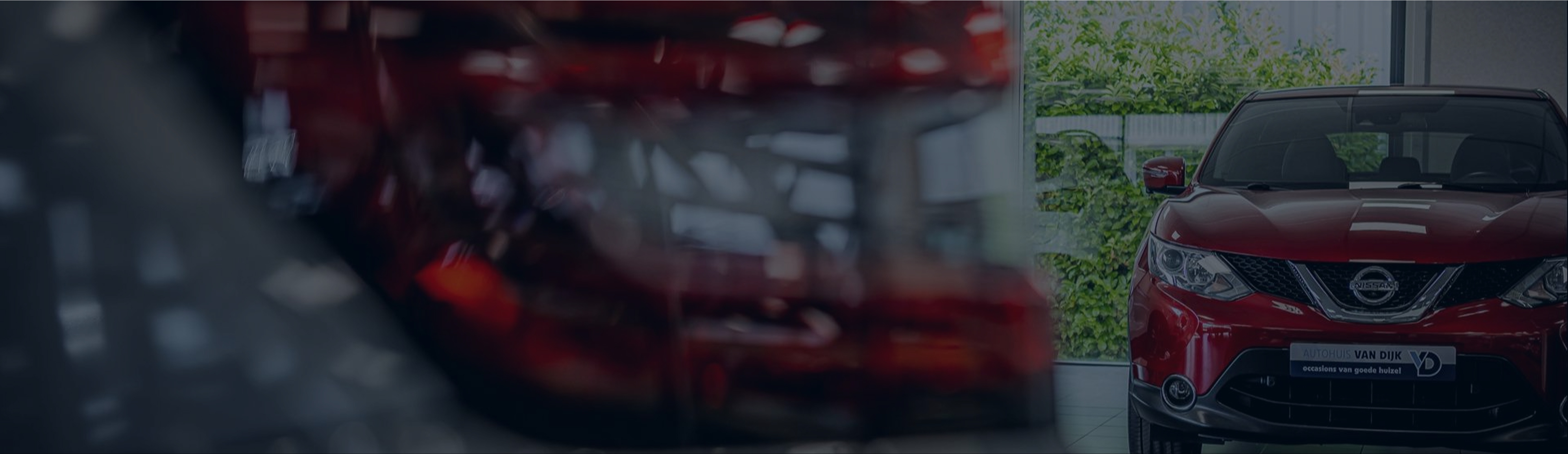 Header Image 0